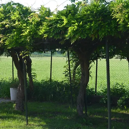 Ca'os Locanda&grill Vigostano